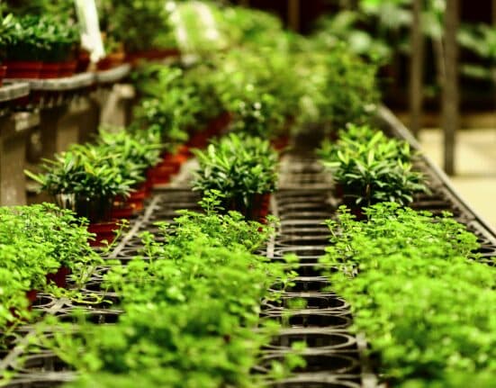 Vive Crop Protection raises $10M in oversubscribed round led by FCC Capital to scale its agtech innovations across North America.