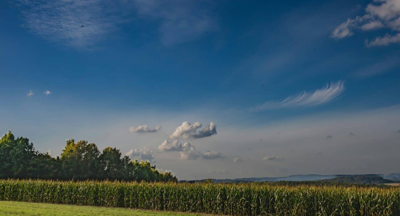 Field to Market launches Fieldprint Platform® Version 5 with new soil carbon indicator, updated GHG metrics, and improved usability.