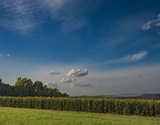 Field to Market launches Fieldprint Platform® Version 5 with new soil carbon indicator, updated GHG metrics, and improved usability.