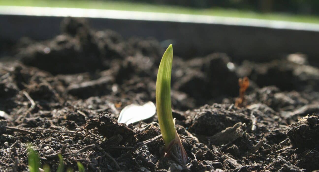Learn how Precision Seeding can transform crop production with accurate placement, uniform depth, and optimal spacing benefits.