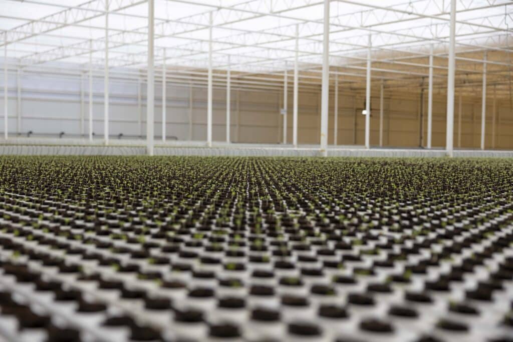 Explore NEOM Topian, a revolutionary food innovation company transforming global food systems with sustainability and efficiency.