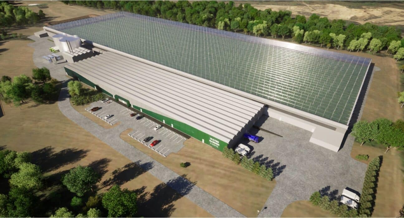 Strategic Collaboration: Water Garden Farms, Siemens, and CEAd aim to integrate cutting-edge digital technologies into indoor agriculture.