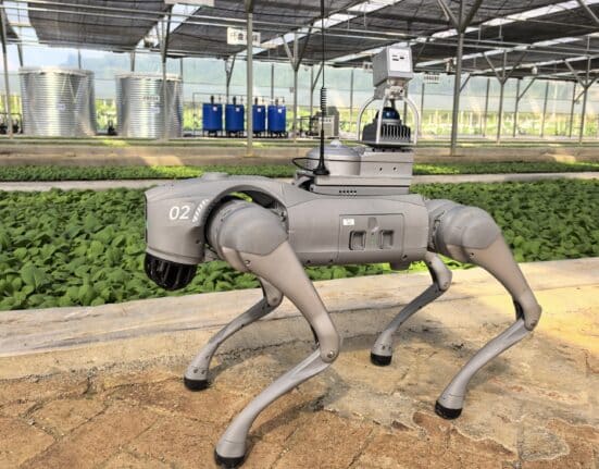 Unitree Robotics partners with agricultural institutions to pilot robotics equipped with sensors and AI vision to monitor seedling growth.