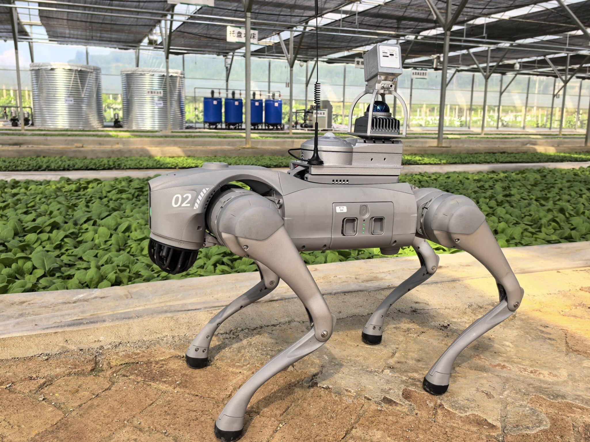 Unitree Robotics partners with agricultural institutions to pilot robotics equipped with sensors and AI vision to monitor seedling growth.