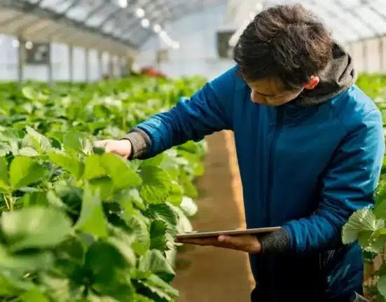Biobest has acquired key technology and personnel of its external technology partner Ecoation Innovative Solutions Inc. (Ecoation).