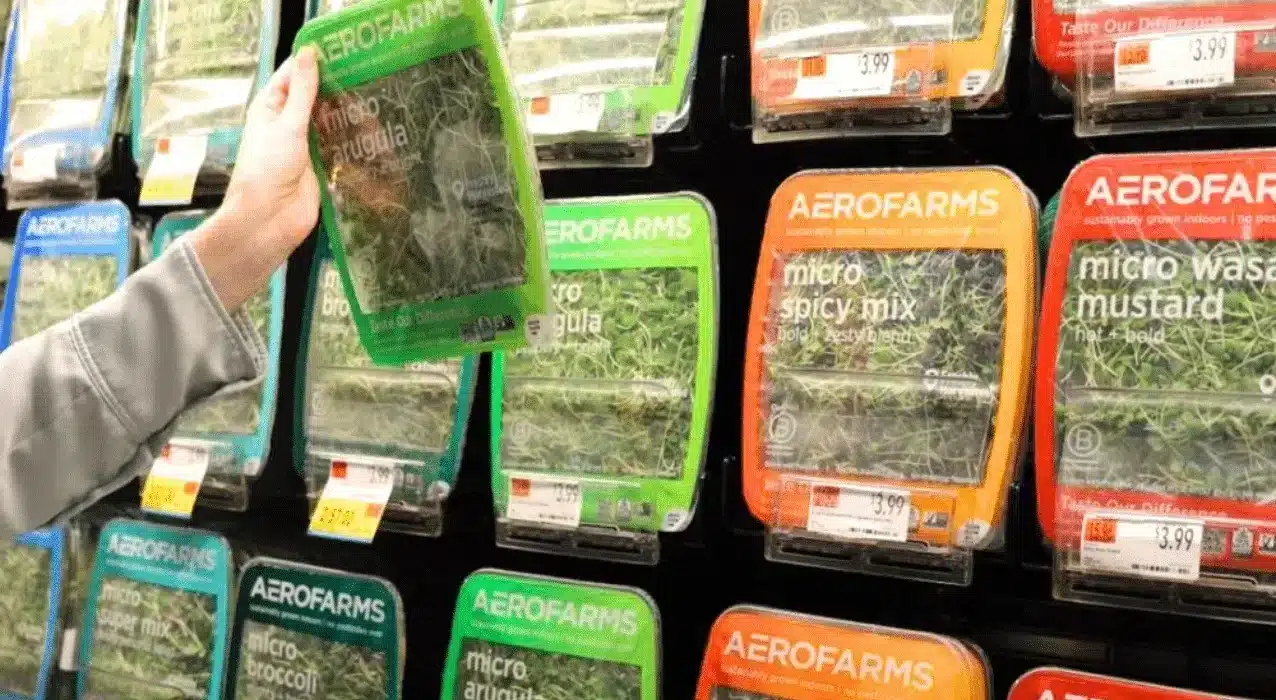 AeroFarms refinances existing debt & secures equity funding to support its Danville, VA facility and support pre-construction for a 2nd farm