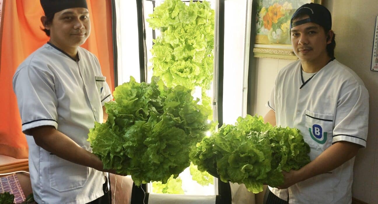 Berge Bulk has harvested 1.2 metric tonnes of vegetables in 2024 using hydroponic systems installed across 75 vessels.
