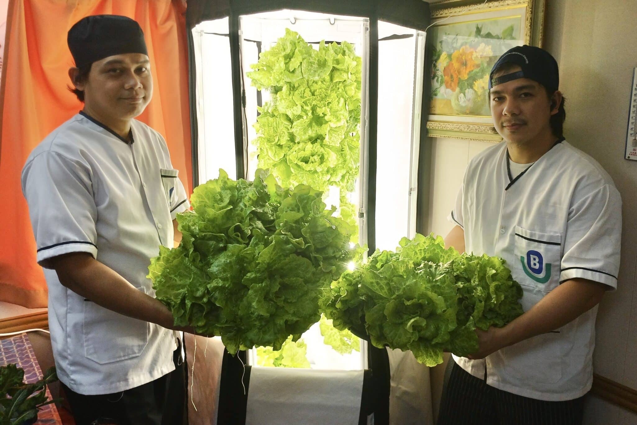 Berge Bulk has harvested 1.2 metric tonnes of vegetables in 2024 using hydroponic systems installed across 75 vessels.