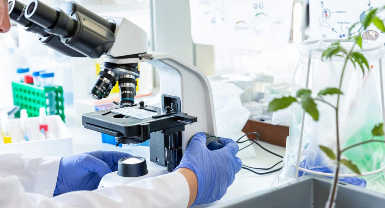 Micropep has unveiled an in-depth look at Krisalix™, its proprietary AI-powered discovery platform for bioactive micropeptides.