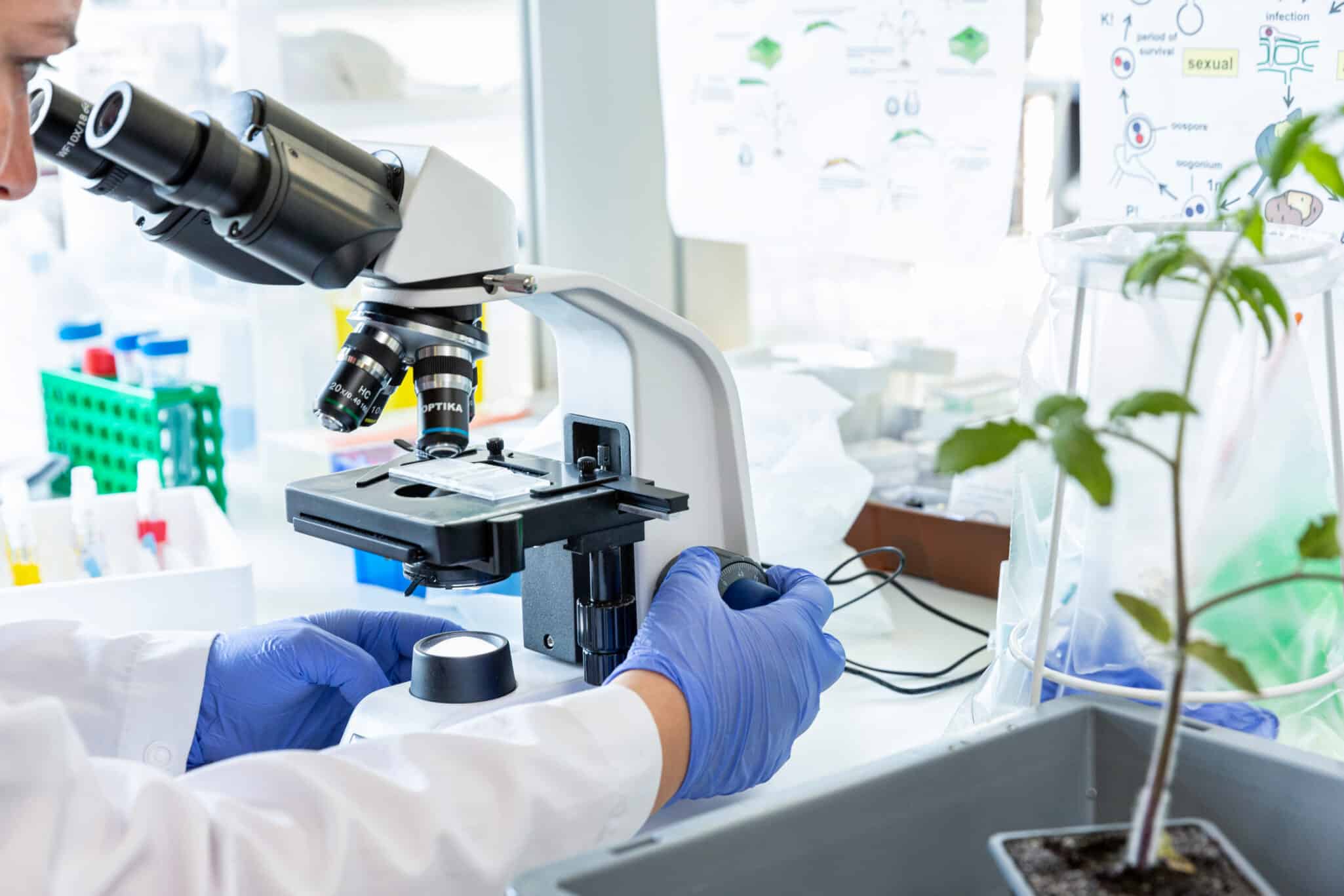 Micropep has unveiled an in-depth look at Krisalix™, its proprietary AI-powered discovery platform for bioactive micropeptides.