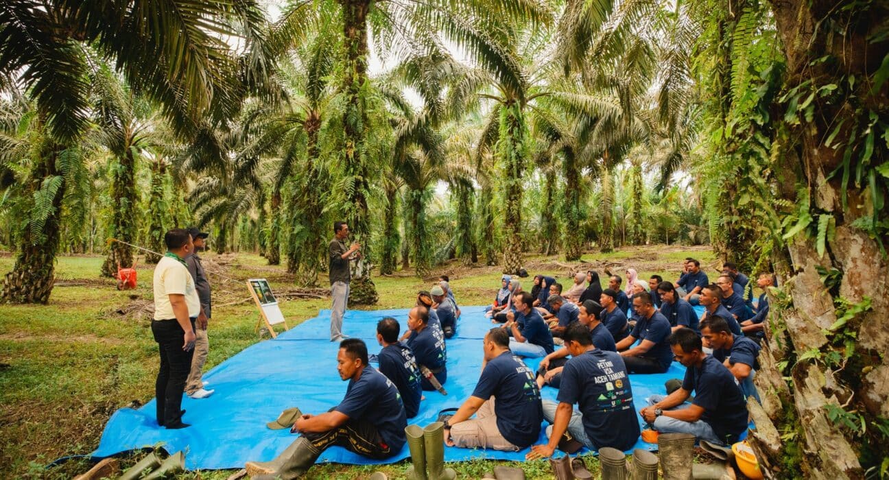 Musim Mas, Nestlé, and AAK extend their collaboration for a fourth year to support independent oil palm smallholders in Aceh Subulussalam.