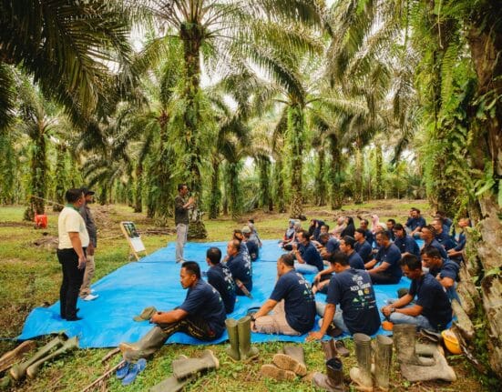 Musim Mas, Nestlé, and AAK extend their collaboration for a fourth year to support independent oil palm smallholders in Aceh Subulussalam.