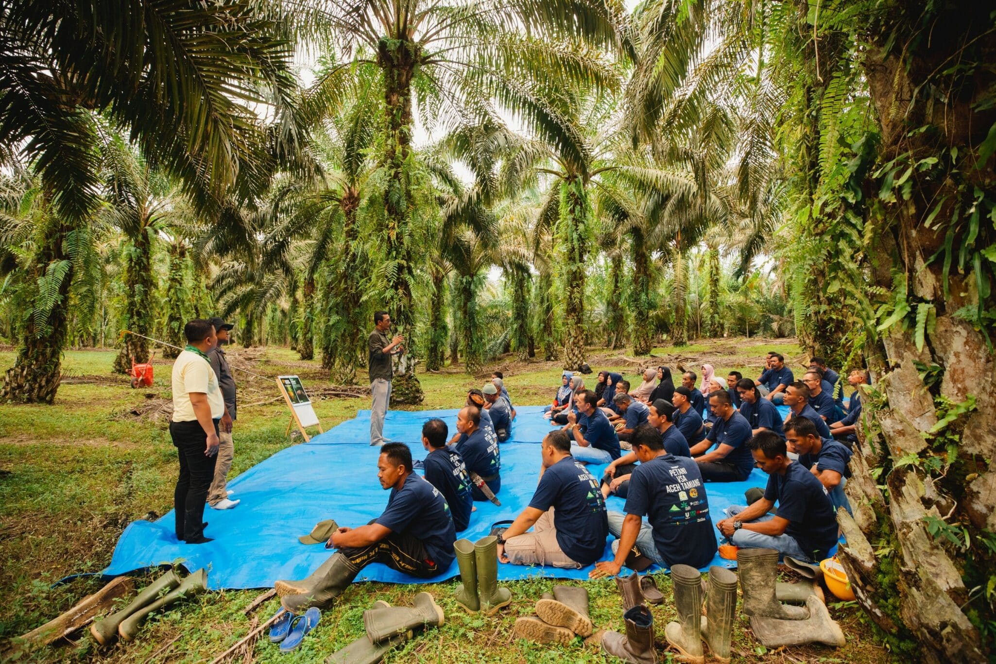 Musim Mas, Nestlé, and AAK extend their collaboration for a fourth year to support independent oil palm smallholders in Aceh Subulussalam.