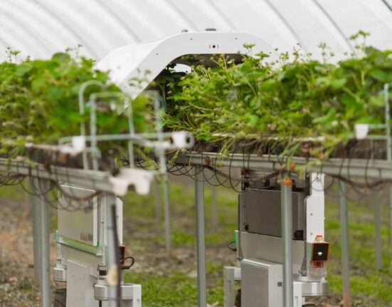 Saga Robotics, Bitwise Agronomy, and Chambers Farm announce a three-way collaboration focused on automated yield forecasting.