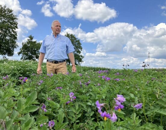 Solynta’s hybrid breeding model replaces bulky seed tubers with efficient, true potato seeds, according to Charles Miller