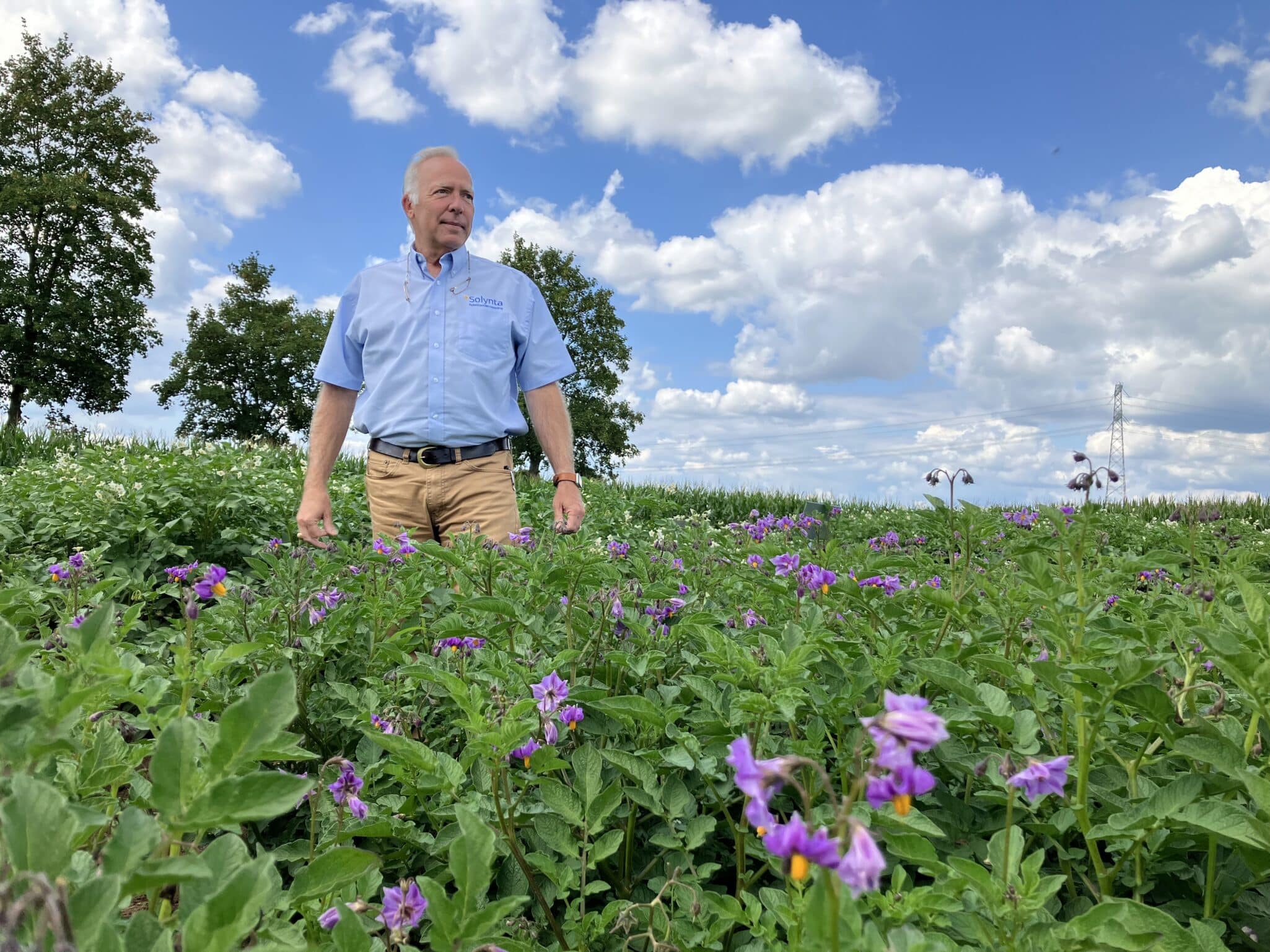 Solynta’s hybrid breeding model replaces bulky seed tubers with efficient, true potato seeds, according to Charles Miller