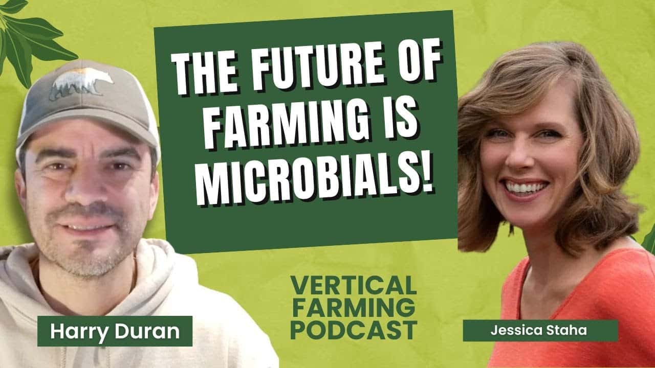 Jessica Staha shares insights on her transition from molecular biology to leading LPC Naturals as CEO.