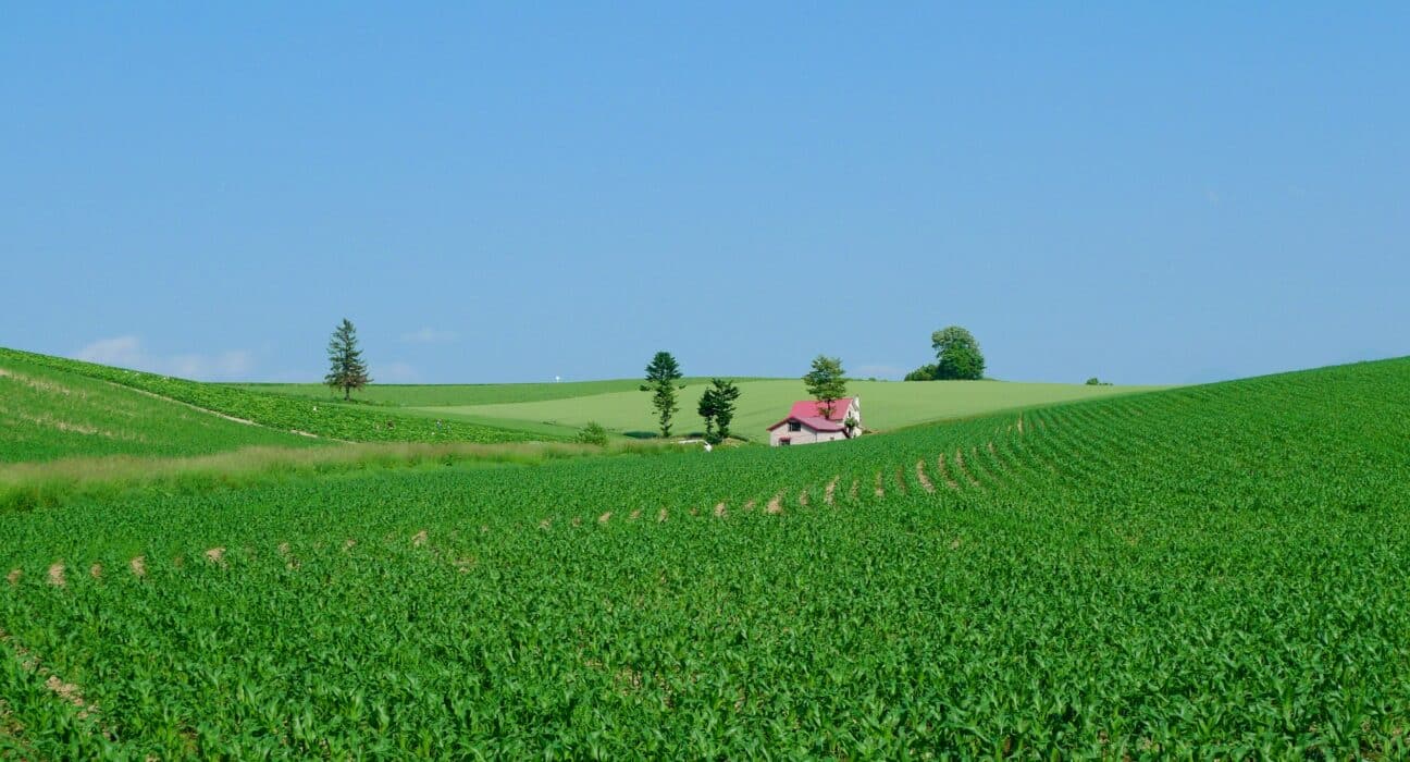 CIBO partners with Sand County Foundation to power USDA-funded conservation programs, streamlining data and scaling regenerative practices.