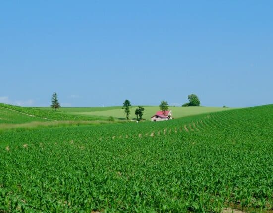 CIBO partners with Sand County Foundation to power USDA-funded conservation programs, streamlining data and scaling regenerative practices.