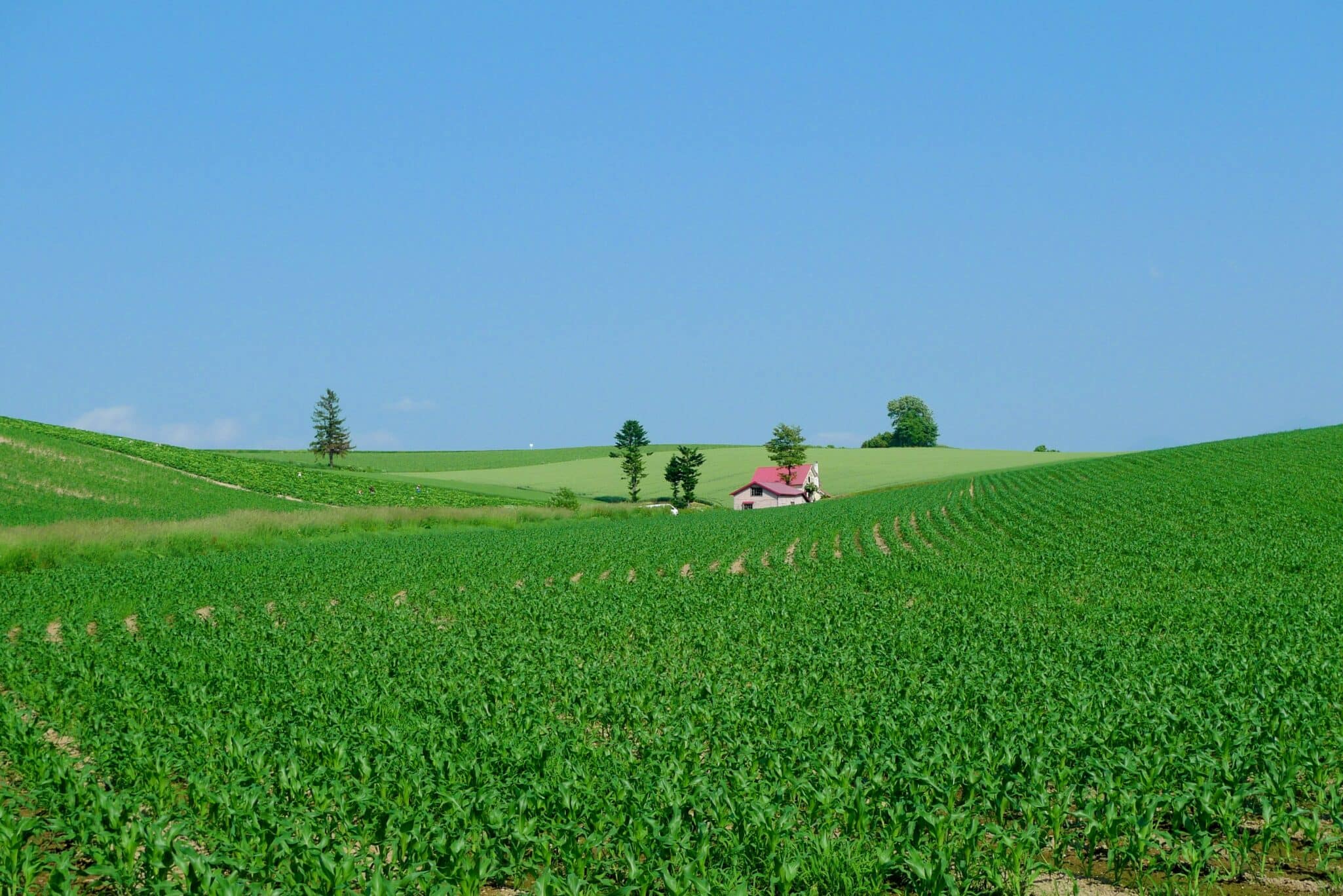 CIBO partners with Sand County Foundation to power USDA-funded conservation programs, streamlining data and scaling regenerative practices.