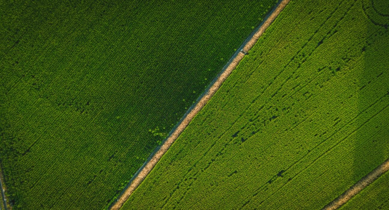 Explore the latest agtech investments as Ambrook secures $26.1M for AI-powered finance tools transforming agriculture.