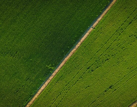Explore the latest agtech investments as Ambrook secures $26.1M for AI-powered finance tools transforming agriculture.