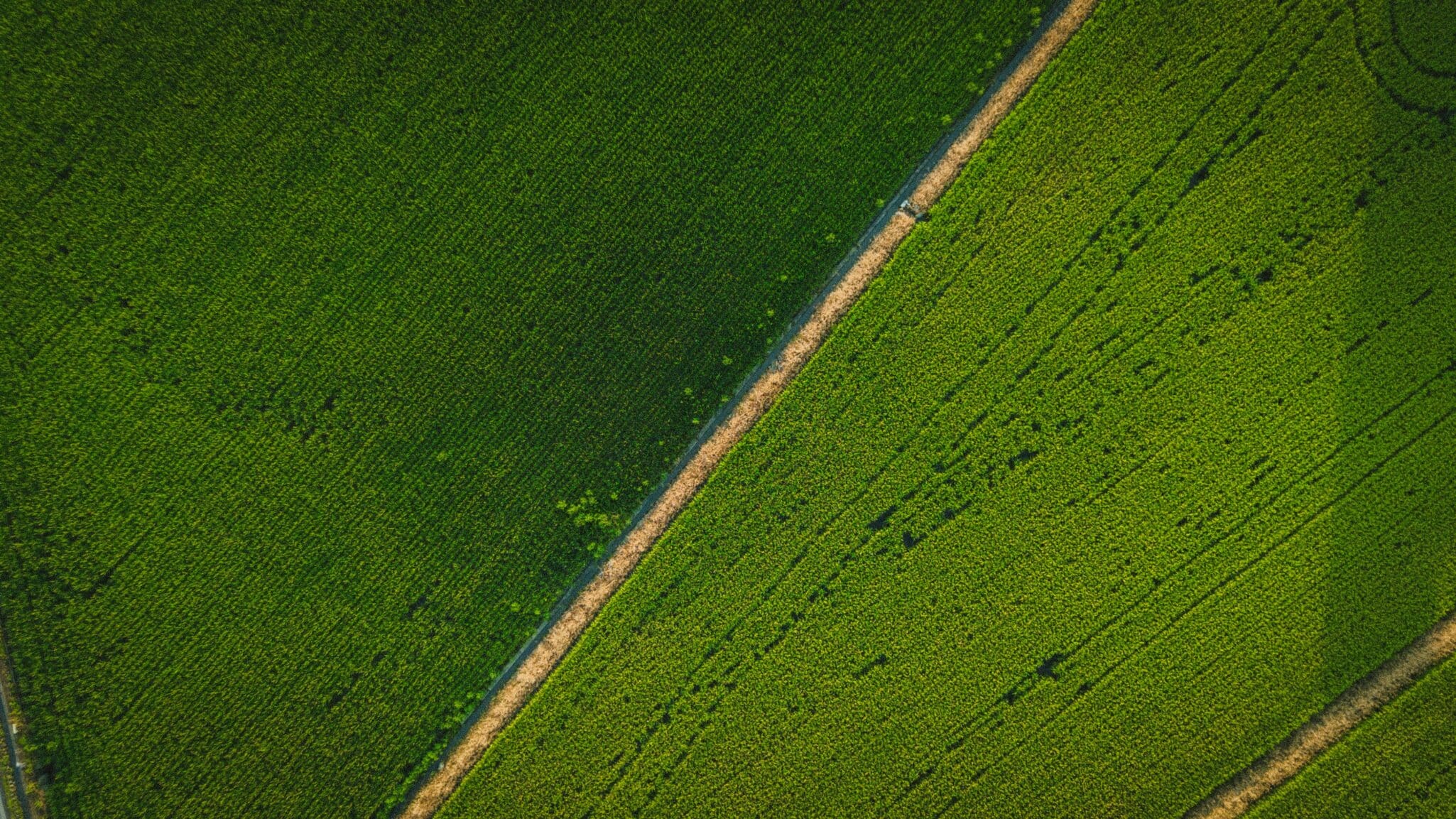 Explore the latest agtech investments as Ambrook secures $26.1M for AI-powered finance tools transforming agriculture.
