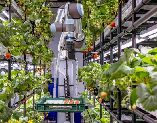 METAFARMERS unveiled its AI-driven agricultural robot, Omni Farmer, at AFPRO 2025 in Seoul from July 16–18.