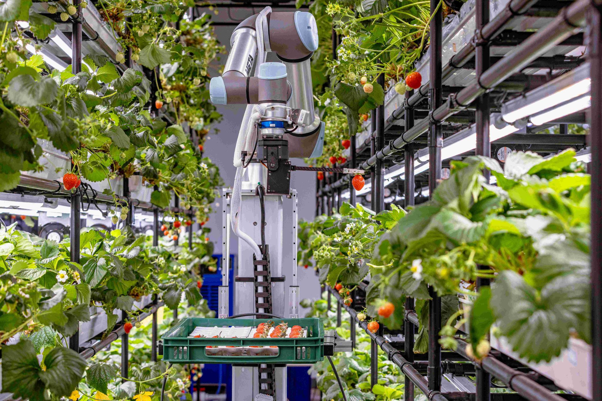 METAFARMERS unveiled its AI-driven agricultural robot, Omni Farmer, at AFPRO 2025 in Seoul from July 16–18.