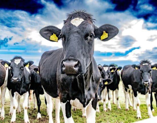 Antler Bio, a company focused on dairy farming, has announced a $4.3 million investment to accelerate the rollout of its EpiHerd technology