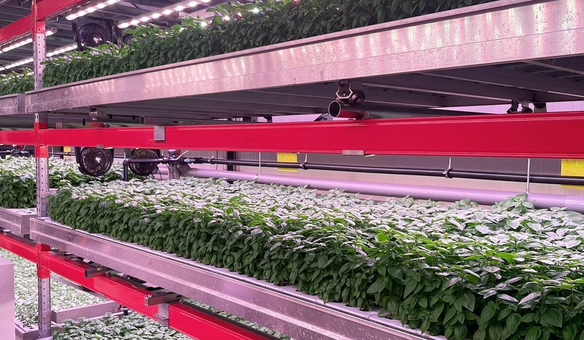 Spanish startup, Néboda, has closed a €1.84 million seed funding round to further develop its pre-industrial production system.