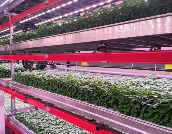 Spanish startup, Néboda, has closed a €1.84 million seed funding round to further develop its pre-industrial production system.