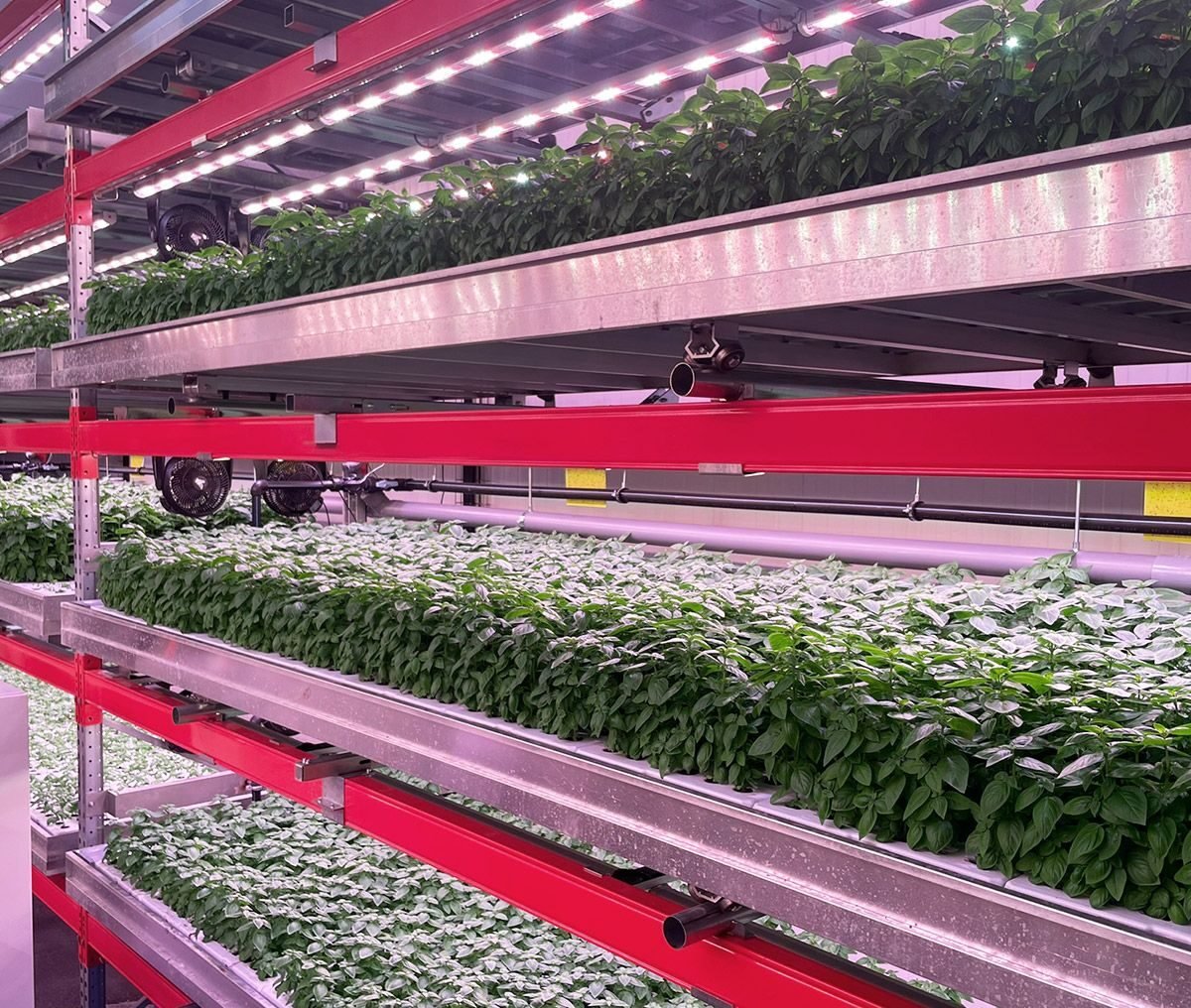 Spanish startup, Néboda, has closed a €1.84 million seed funding round to further develop its pre-industrial production system.