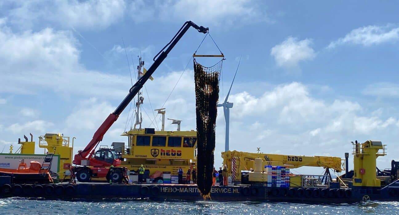 North Sea Farmers complete inaugural harvest at North Sea Farm 1, located within a Dutch offshore wind farm