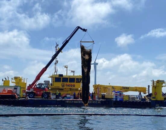North Sea Farmers complete inaugural harvest at North Sea Farm 1, located within a Dutch offshore wind farm
