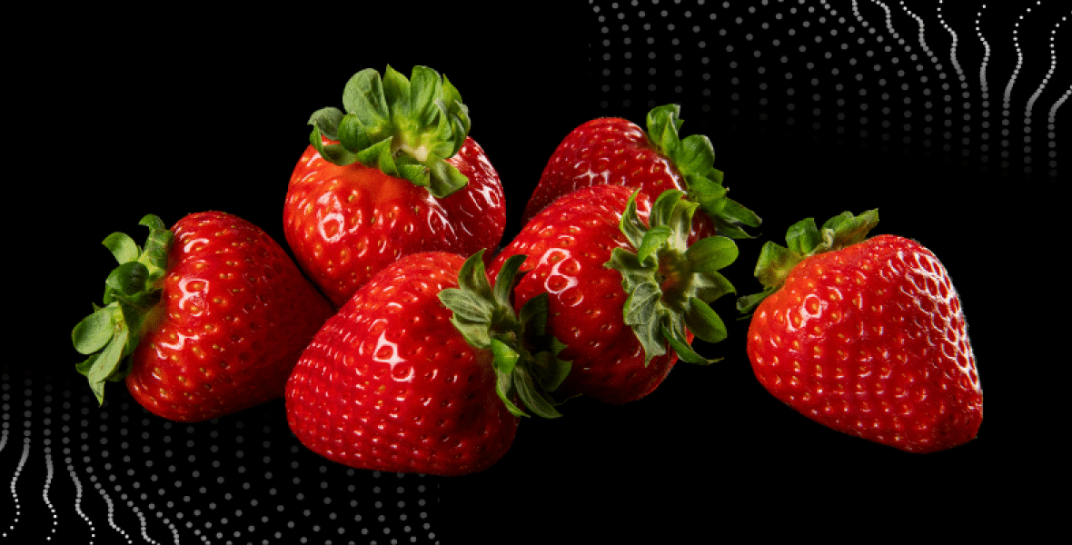 Artechno, Philips Horticulture & Limgroup partnered to develop a year-round, indoor propagation model for F1 hybrid strawberry plants.