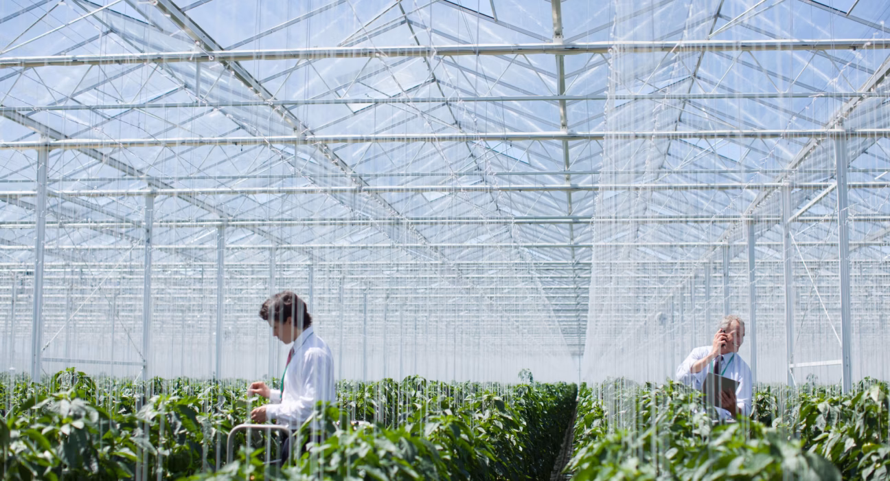 Plense Technologies, a Netherlands-based agtech startup focused on ultrasound sensing for crop cultivation, has announced that it will no longer continue its operations.