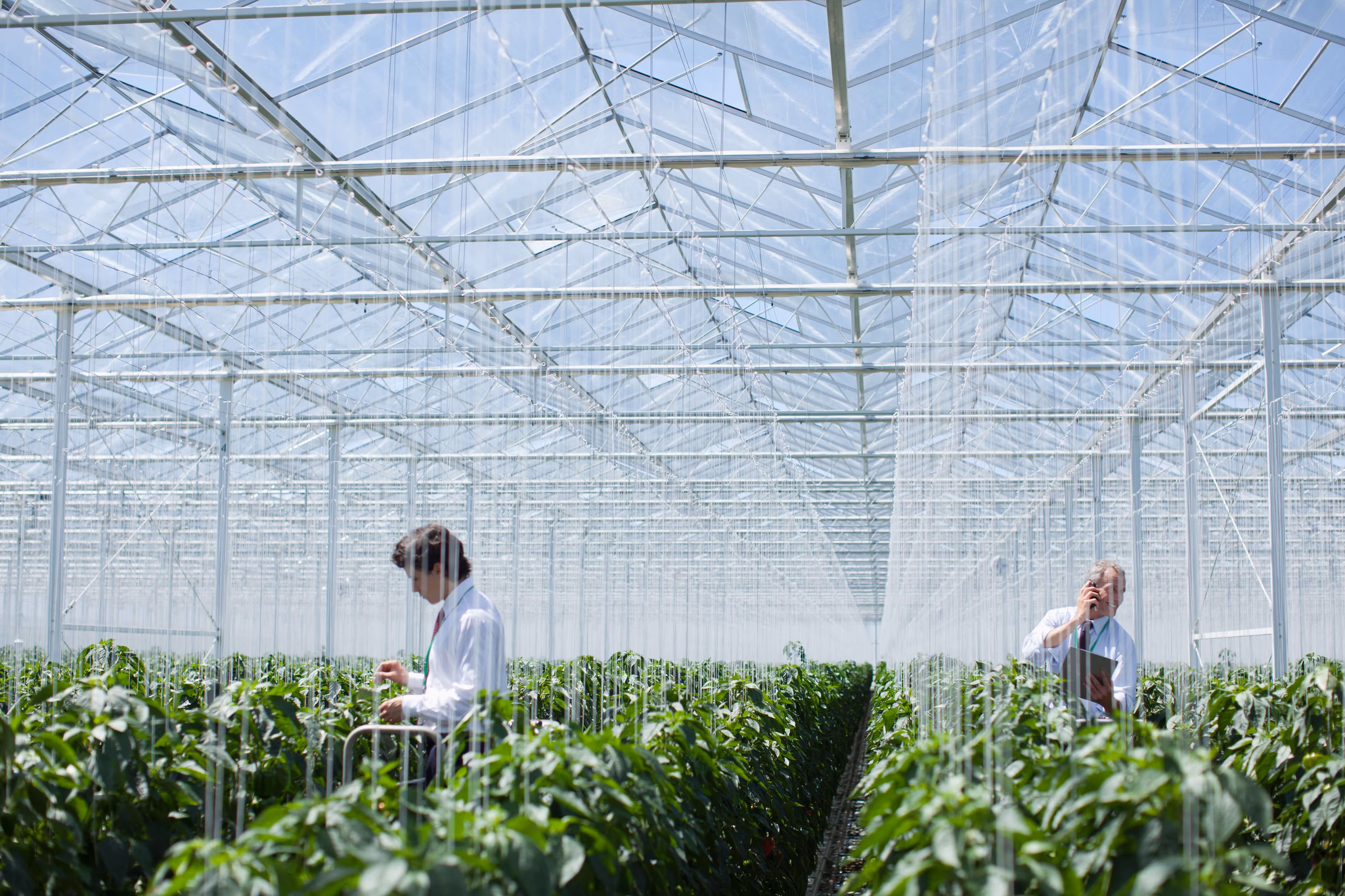 Plense Technologies, a Netherlands-based agtech startup focused on ultrasound sensing for crop cultivation, has announced that it will no longer continue its operations.