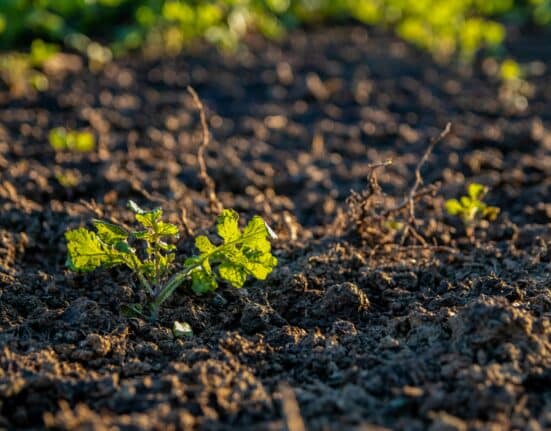 National Bamboo LLC, maker of GROZOME® Plant & Soil Probiotics, has entered a bulk distribution agreement with Hiwassee Products LLC