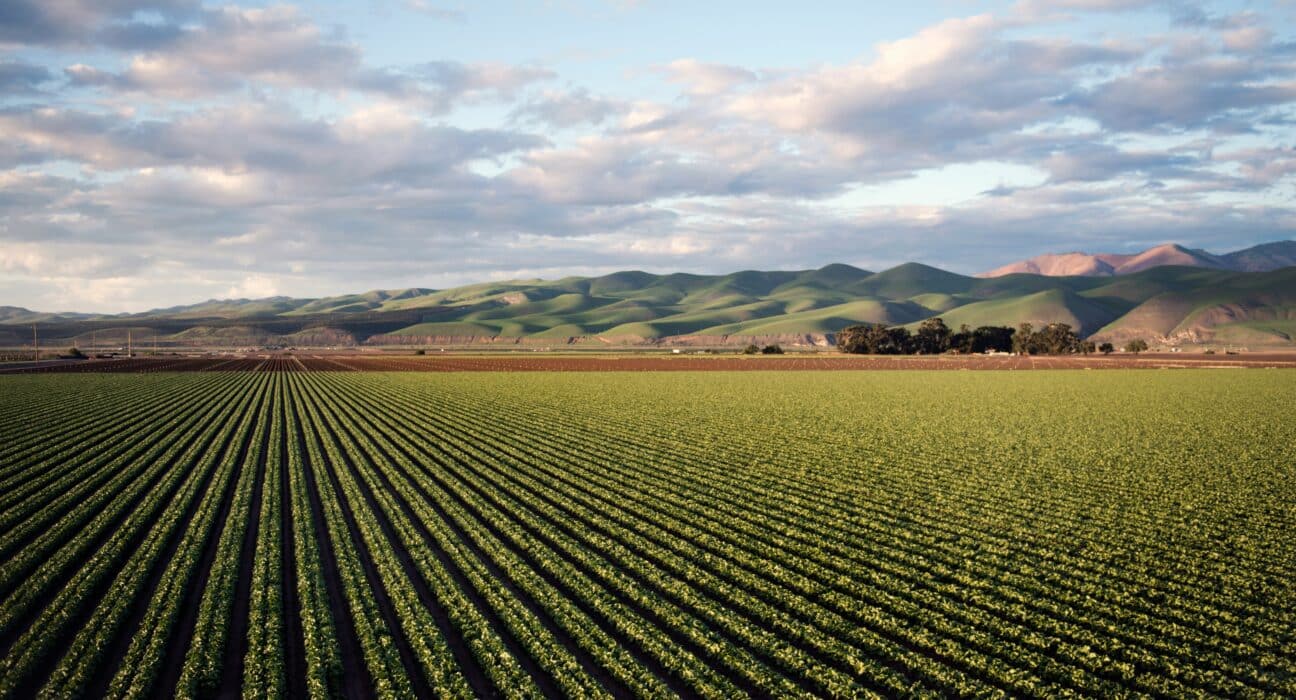 A new Cal Poly report finds regulatory compliance costs rose from $109.16 per acre in 2006 to $1,600.12 per acre in 2024