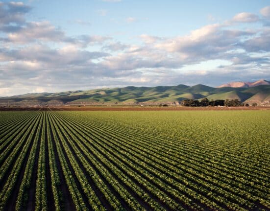 A new Cal Poly report finds regulatory compliance costs rose from $109.16 per acre in 2006 to $1,600.12 per acre in 2024