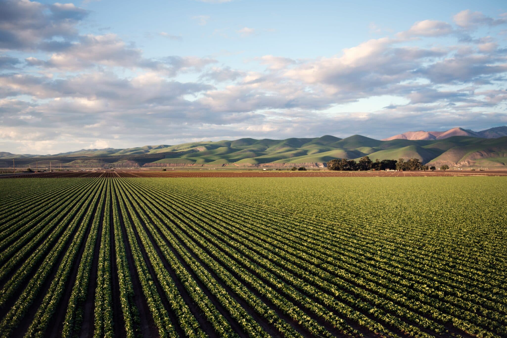 A new Cal Poly report finds regulatory compliance costs rose from $109.16 per acre in 2006 to $1,600.12 per acre in 2024