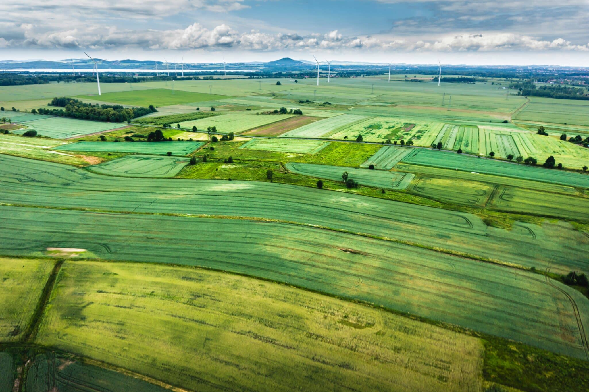 Stay updated with AgTech Digest July 20 2025, featuring insights on agritech, partnerships, and funding advancements.