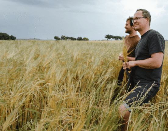 Klim has launched a new digital companion tool designed to simplify regenerative agriculture for farmers and F&B companies.