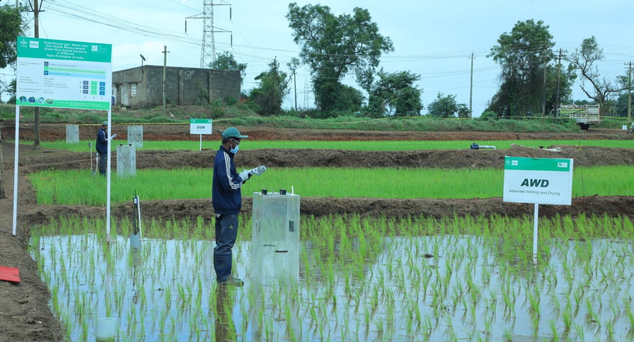 The Good Rice Alliance (TGRA) has earned an ‘Ae’ ex ante rating from BeZero Carbon, a leading independent carbon ratings agency.