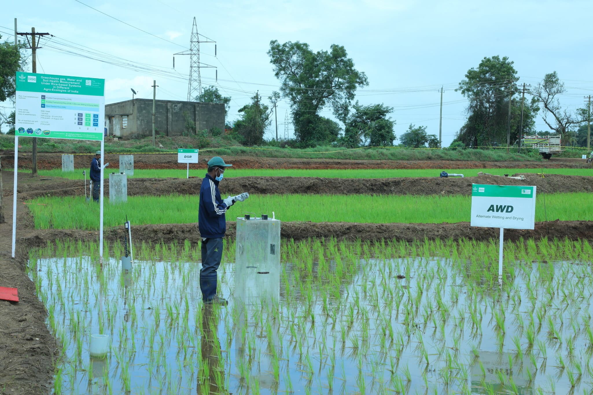 The Good Rice Alliance (TGRA) has earned an ‘Ae’ ex ante rating from BeZero Carbon, a leading independent carbon ratings agency.