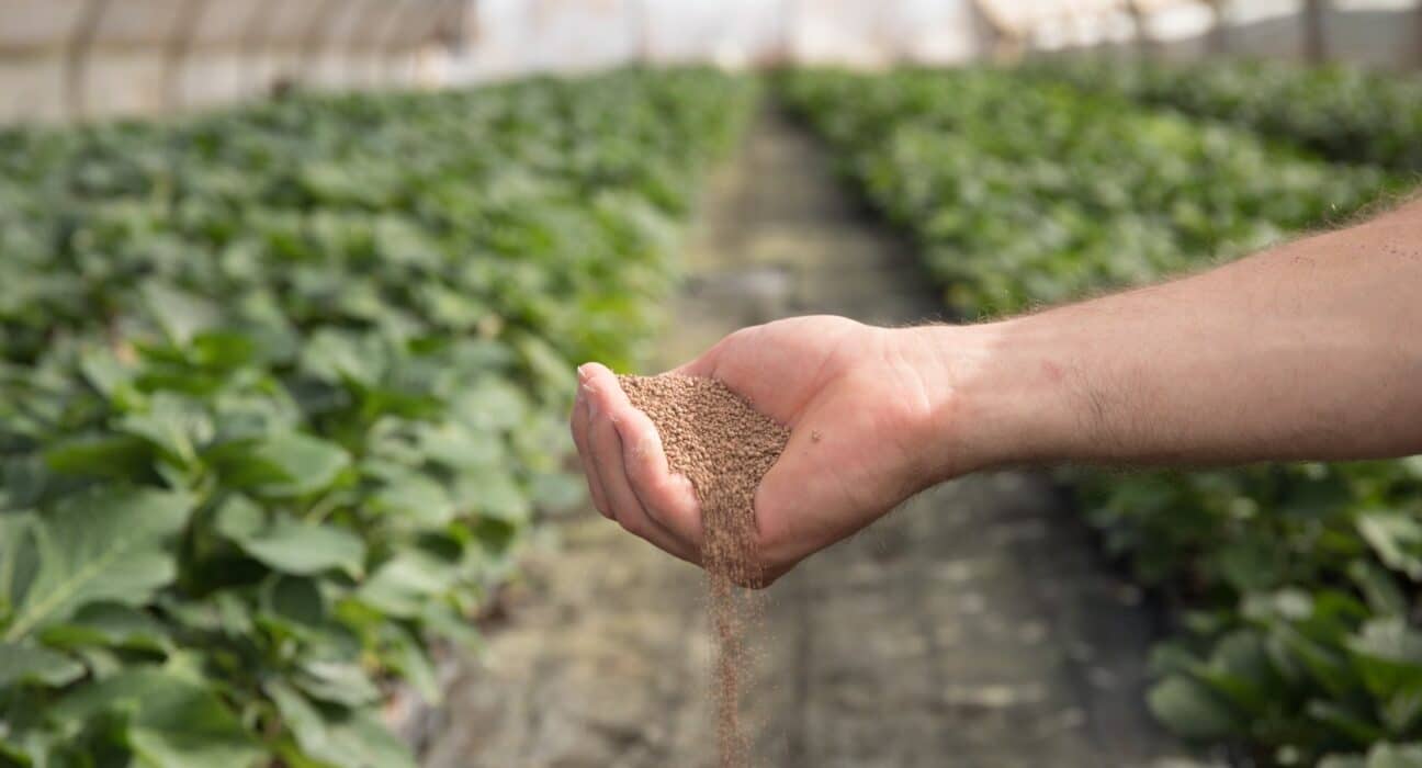 "Groundwork BioAg names Alon Werber CEO as co-founder Yossi Kofman becomes chairman, advancing global mycorrhizal and carbon growth.
