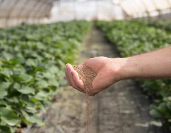 "Groundwork BioAg names Alon Werber CEO as co-founder Yossi Kofman becomes chairman, advancing global mycorrhizal and carbon growth.