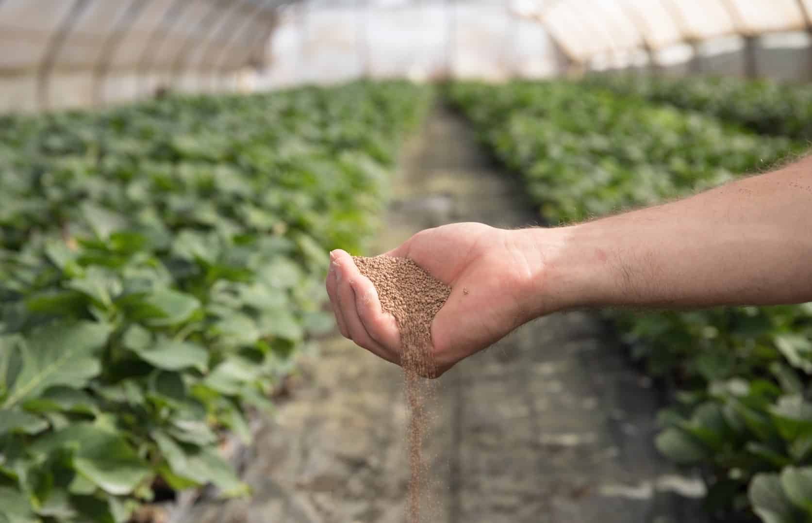 "Groundwork BioAg names Alon Werber CEO as co-founder Yossi Kofman becomes chairman, advancing global mycorrhizal and carbon growth.