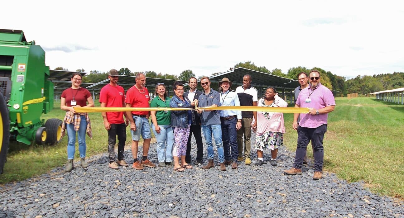 Lightstar Renewables launches NY’s first agrivoltaics project at DiMartino Farm, combining solar energy with productive farmland.